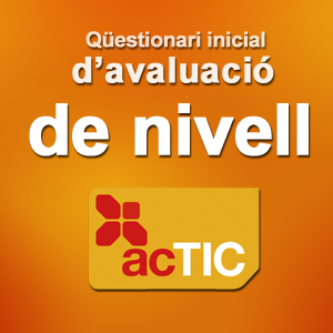Qüestionari inicial d'avaluació de nivell